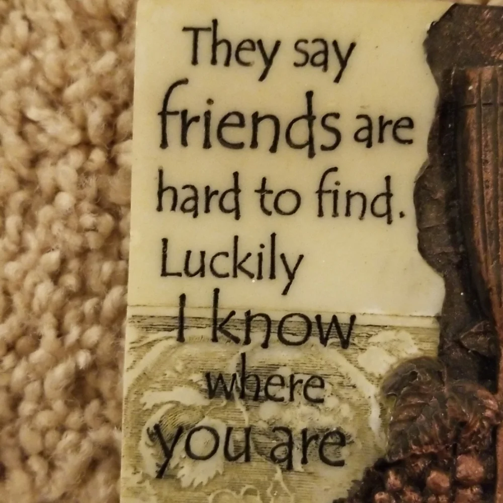 N/A friends are